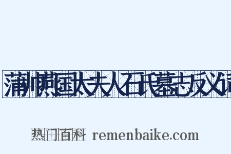 蒲帅燕国太夫人石氏墓志反义词是什么意思的图片
